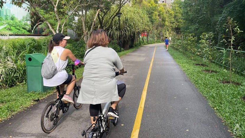 Commentary: Errant cycling gives the rest of us cyclists a bad name Commentary: Errant cycling gives the rest of us cyclists a bad name