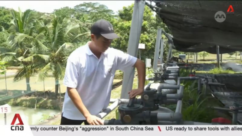 Young farmers enter industry despite challenges like slow career progression 