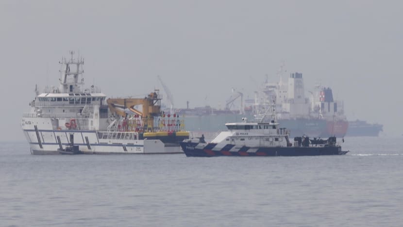 Singapore does not agree with Malaysia’s proposal for both sides to cease and desist from sending assets into 'disputed area'