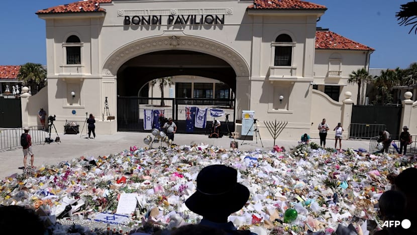 Philippines says no evidence of 'terrorist training' after Bondi gunmen's visit