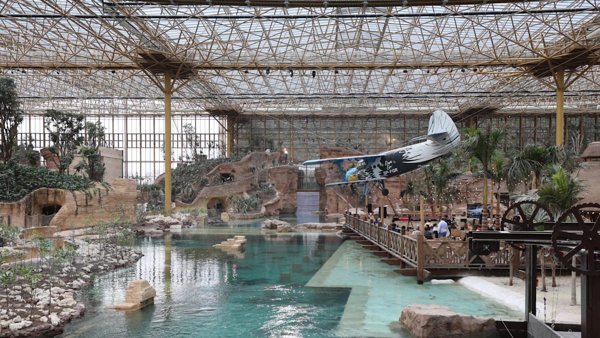 World’s largest tropical greenhouse opens at Belgium’s Pairi Daiza zoo