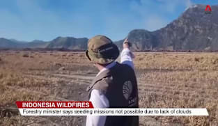 Asia First - Tue 11 Aug 2026