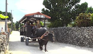Japan Hour - Cycle Around Japan - Okinawa: The Tropical Yaeyama Islands