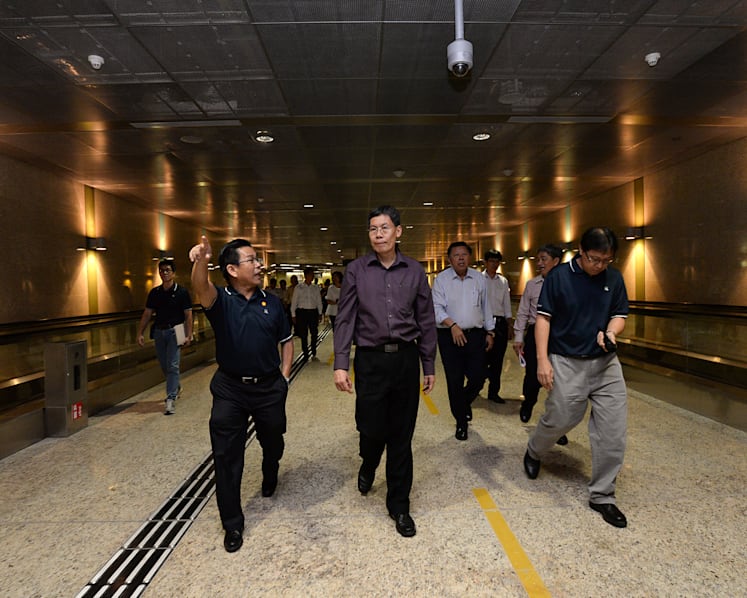 Lui Tuck Yew has served with 'honour and distinction': DPM Teo