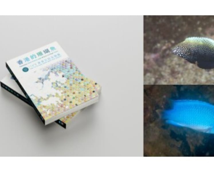 Fantastic Reef Fishes and Where to Find Them:  A New Field Guide Celebrates and Documents Hong Kong’s Reef Fish Diversity with 422 Species
