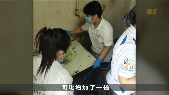 子女代订大扫除 清洁公司春节前订单增五成