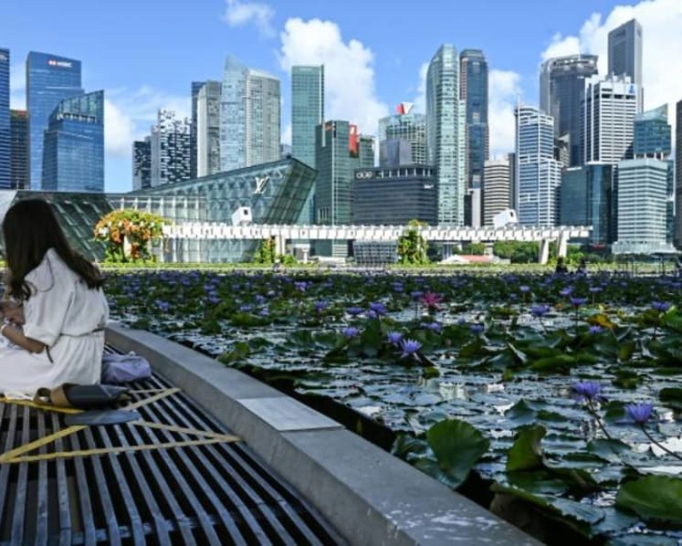 Important to make climate change commitments, but must ensure policies can support them: Desmond Lee