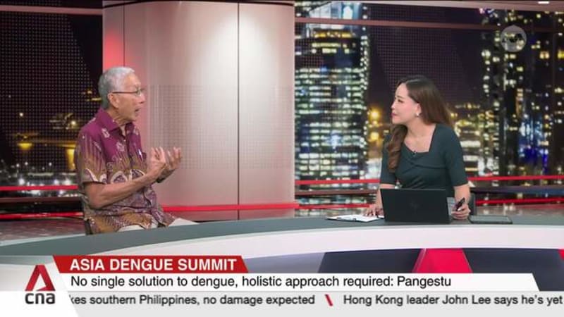 Professor Tikki Pangetsu on dengue situation in Singapore and the region 