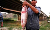 How rare earth mining in Myanmar threatens Thailand’s rice and fish