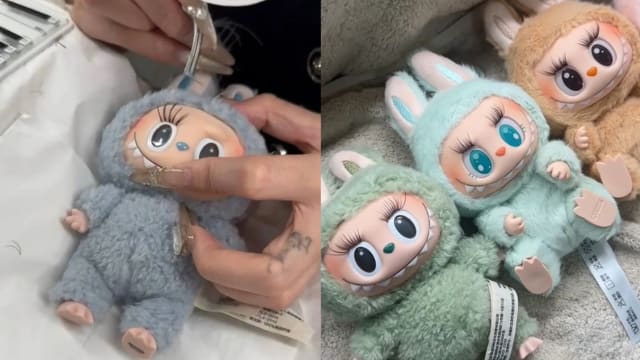 又是拉布布惹的祸 美睫师与友人被骗上万马币
