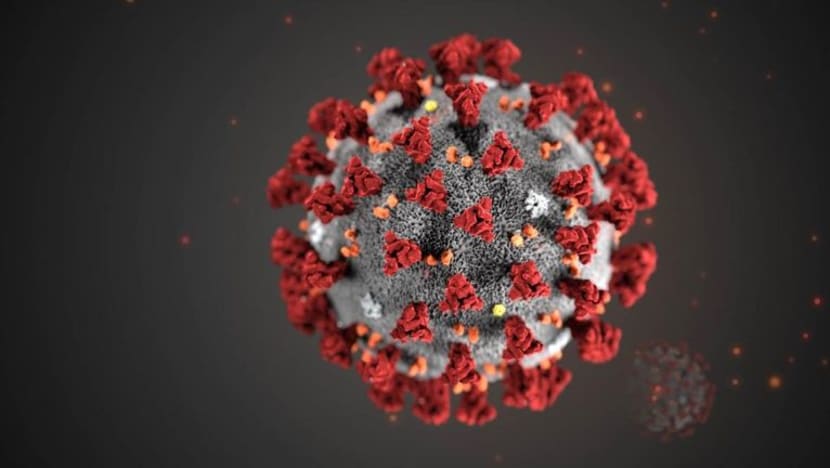 Virus korona baru dinamakan 'Covid-19': WHO Virus korona baru dinamakan 'Covid-19': WHO