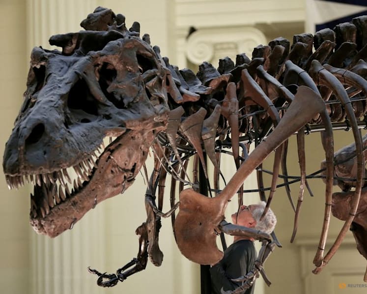 Here's how Tyrannosaurus ended up with a big head and small arms