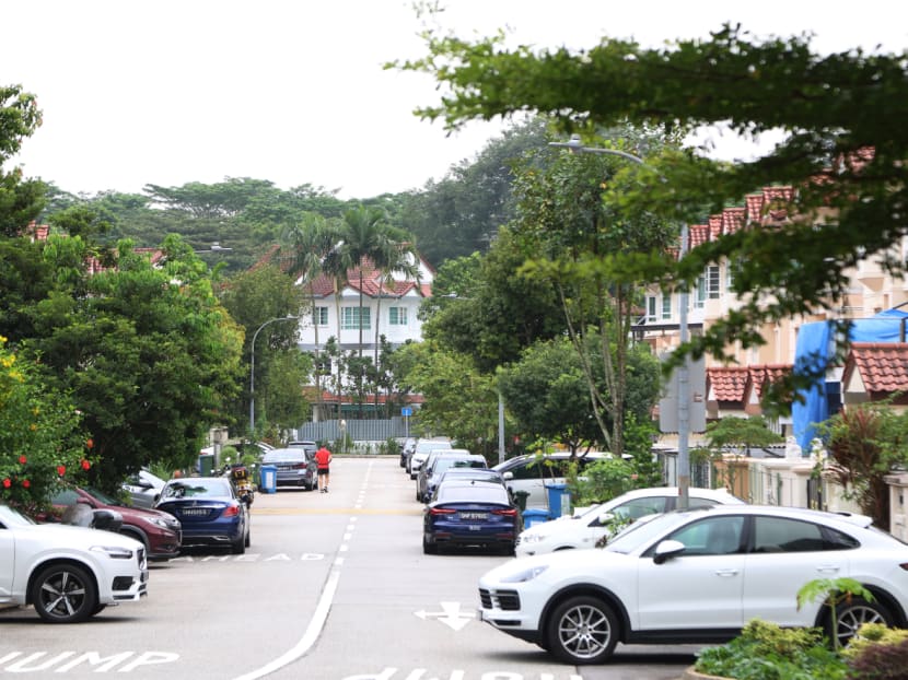 Residential properties along Springside Drive. The area is near a proposed columbarium complex in Mandai. Residential properties along Springside Drive. The area is near a proposed columbarium complex in Mandai.