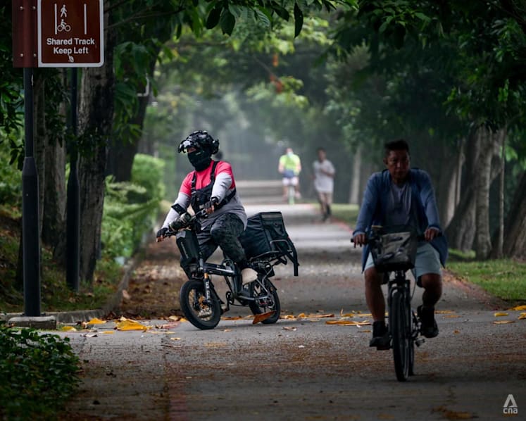 Platform workers should not be penalised for delays during haze: Jasmin Lau