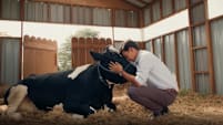 Mojoku Hilang! Review: This Feel-Good Malaysian Comedy About A Missing Cow Is Full Of Kampung Charm