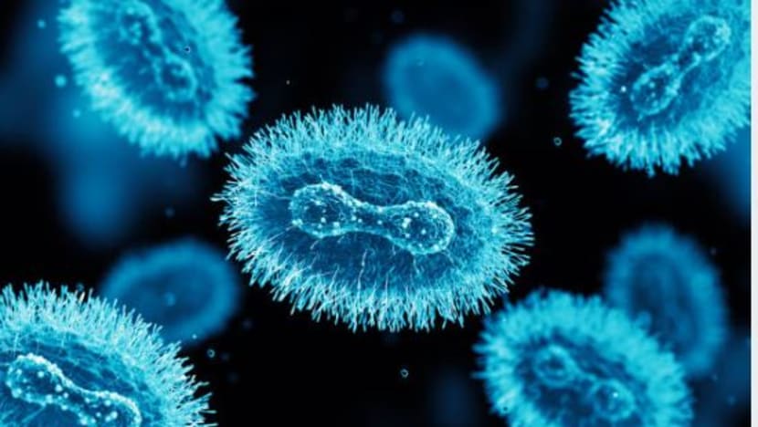 Vaksin mpox bagi kakitangan jagaan kesihatan yang berisiko atau kontak rapat: Ong Ye Kung