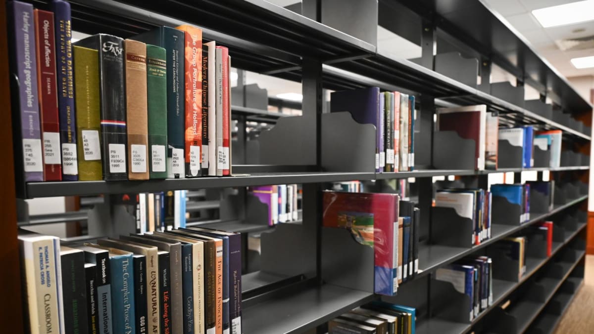 'All of that work has just vanished': Yale-NUS faculty criticise handling of library books