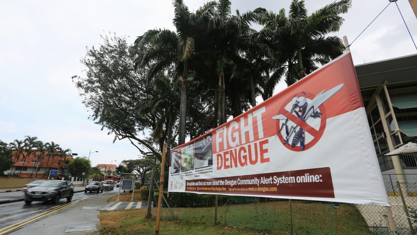 Dengue cases still high as Aedes mosquito numbers rise, with landed homes the hardest hit: NEA