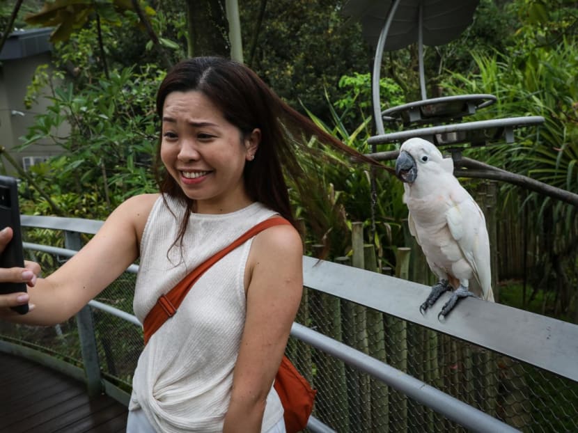 Bird Paradise Map