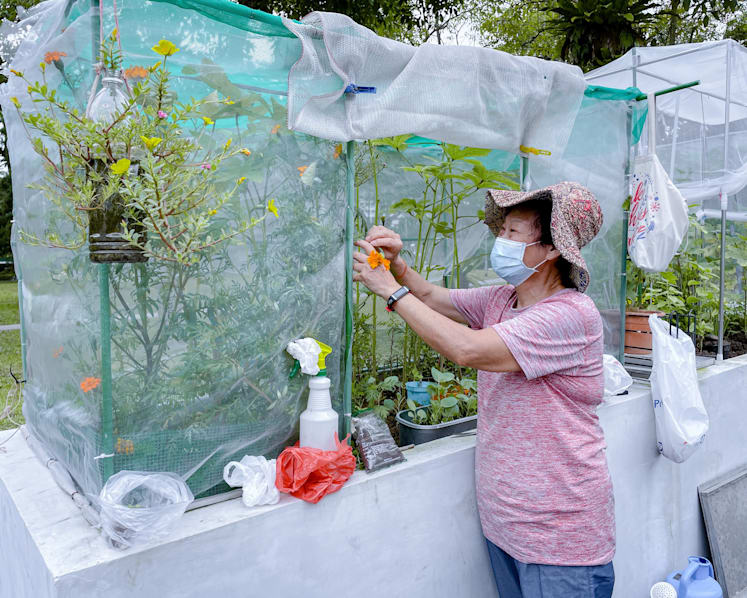 To reignite kampung spirit, appoint chief gardeners in various estates, share dishes made from locally grown crops