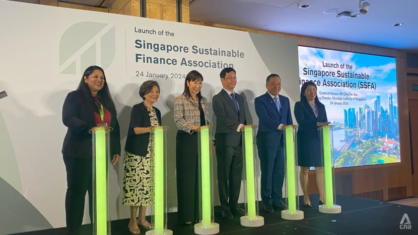 New association in Singapore to focus on developing talent, industry standards in sustainable finance