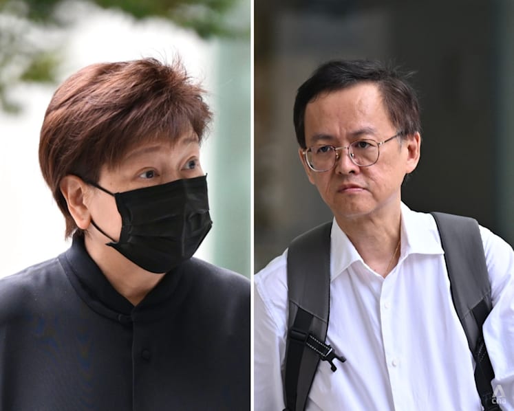 Hyflux trial: Other PUB project bidders also faced power market risks, likely gave discounts, says witness