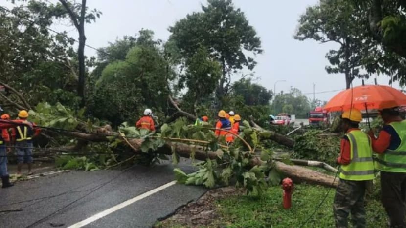 Langkawi dibadai ribut; 17 rumah, 15 kereta rosak Langkawi dibadai ribut; 17 rumah, 15 kereta rosak