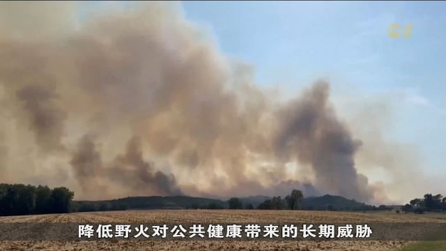 欧洲林火焚烧面积增逾五成 野火正成为公共卫生危机