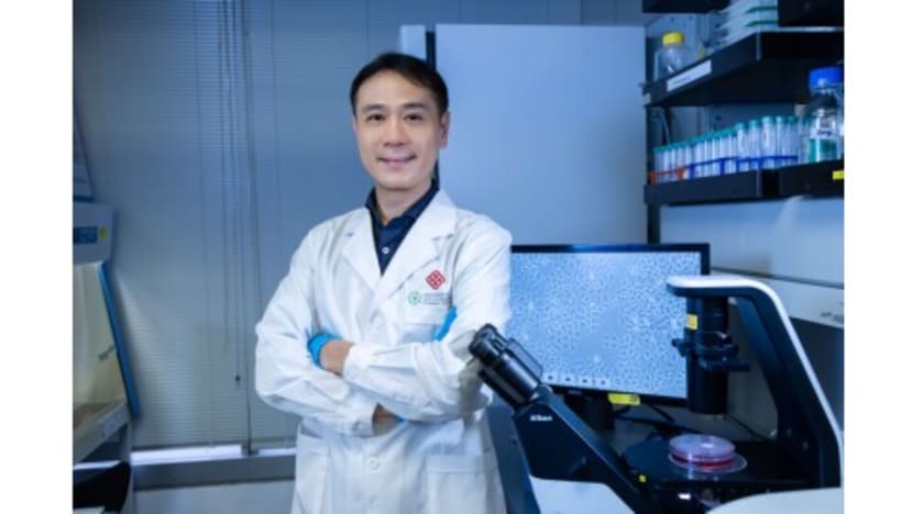 PolyU develops novel antibody targeting fat cell protein, offering new approach to treating metabolism-related liver cancer