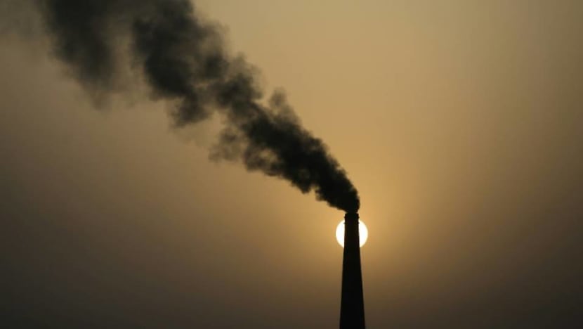 Need for Singapore to take ‘accelerated action’ in pursuing lower carbon emissions, says climate expert Need for Singapore to take ‘accelerated action’ in pursuing lower carbon emissions, says climate expert