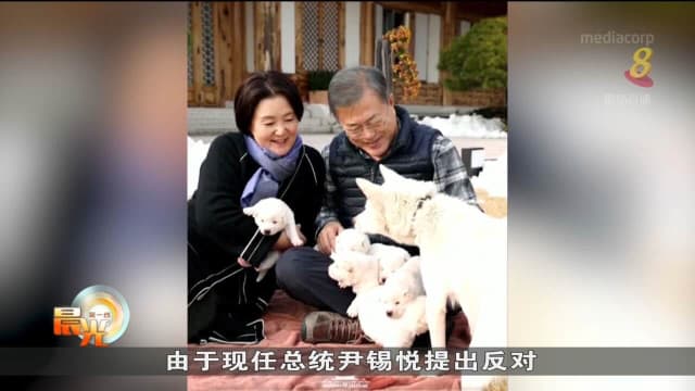 文在寅拟弃养金正恩所赠丰山犬