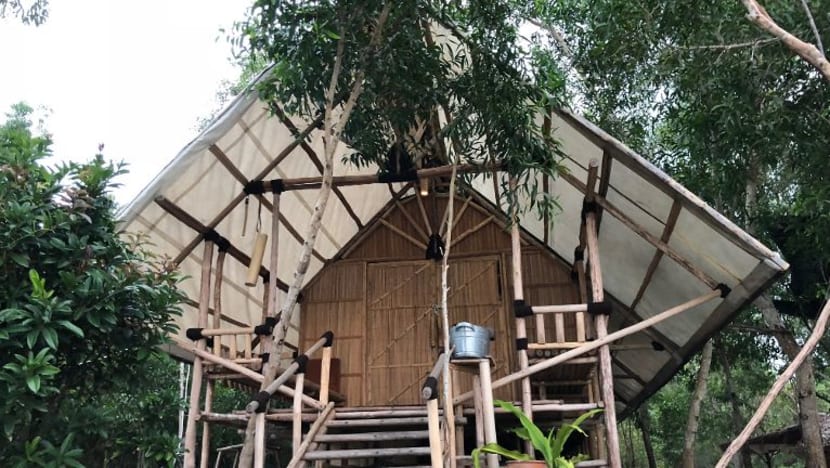 Related article image