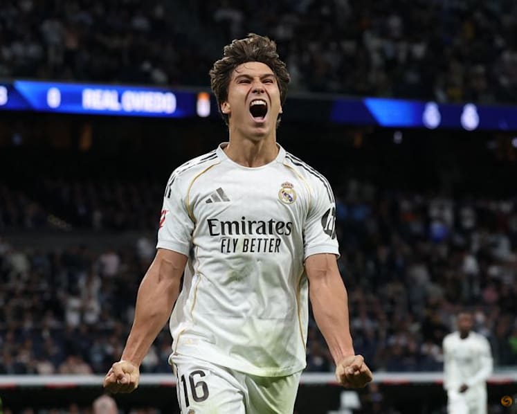 Fulham sign Gonzalo, Palacios from Real Madrid