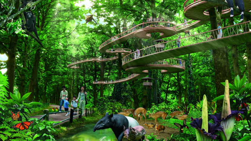 Mandai to feature new 'immersive zoo-type experience'