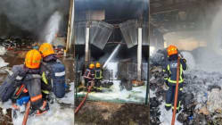 Related article image