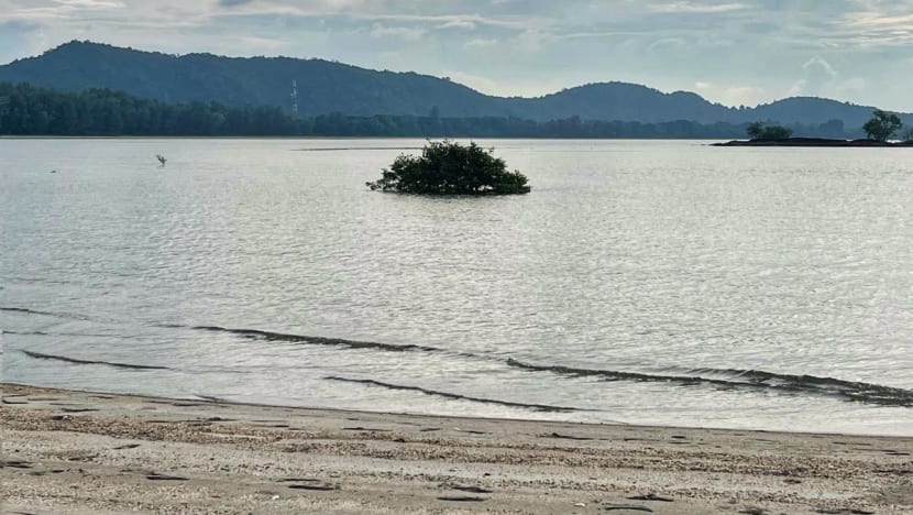 Singaporean man among two found drowned at Mersing beach in Johor