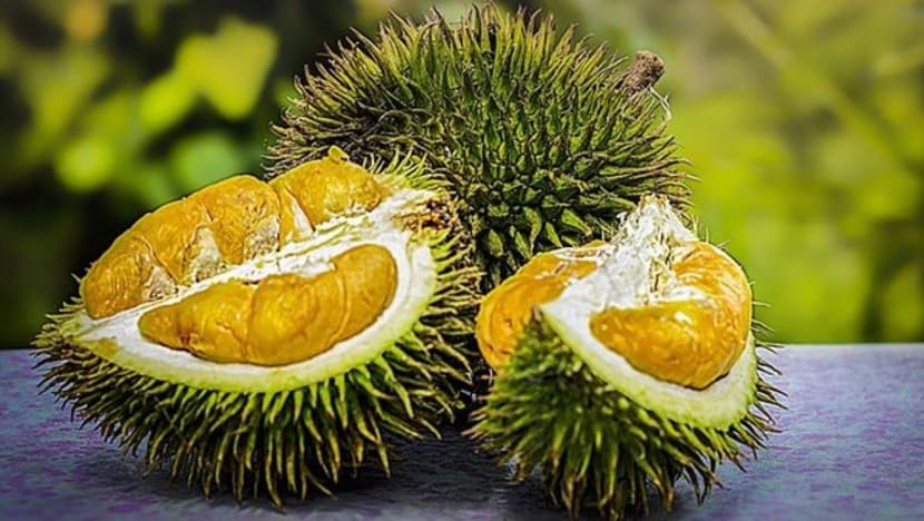Pemandu maut selepas makan terlalu banyak durian Pemandu maut selepas makan terlalu banyak durian