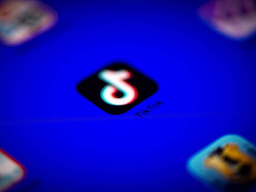 The response to TikTok’s rise in the US comes from the Donald Trump manual of political strategy, say the authors.