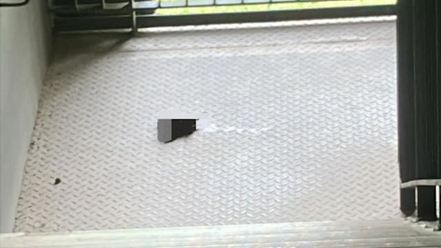 猫疑遭分尸弃办公楼梯口 目击者吓坏报警