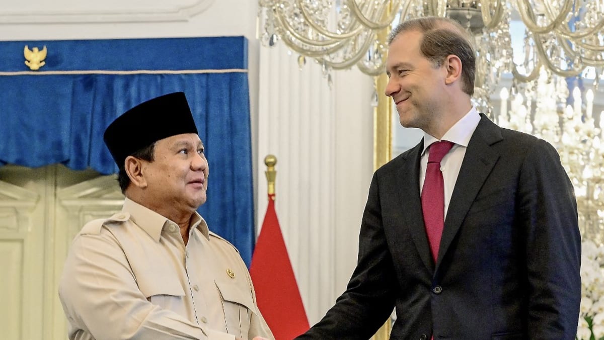 Indonesia dismisses report of Russian request to base aircraft in Papua Indonesia dismisses report of Russian request to base aircraft in Papua
