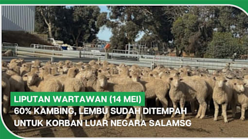 LIPUTAN WARTAWAN (14 Mei) | 60% kambing, lembu sudah ditempah untuk korban luar negara SalamSG