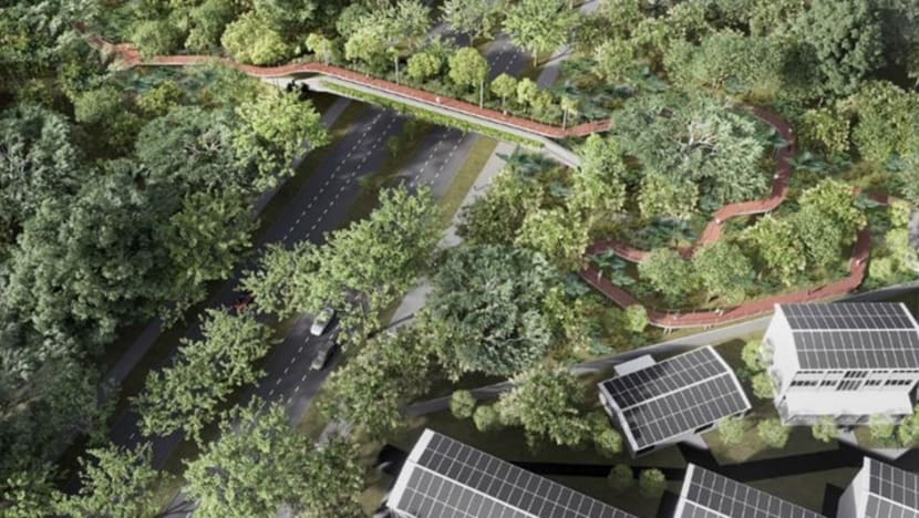Bridge for wildlife, pedestrians to be built by 2026, linking Bukit Batok Nature Park and Bukit Timah Nature Reserve