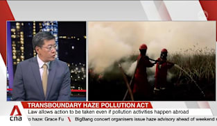 Assoc Prof Eugene Tan on enforcement under the Transboundary Haze Pollution Act