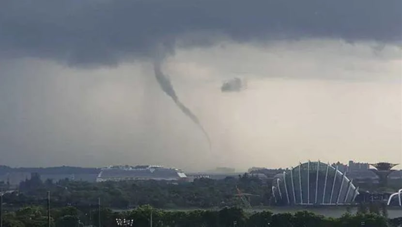 Belalai air kelihatan di pantai selatan S'pura pada petang Ahad Belalai air kelihatan di pantai selatan S'pura pada petang Ahad