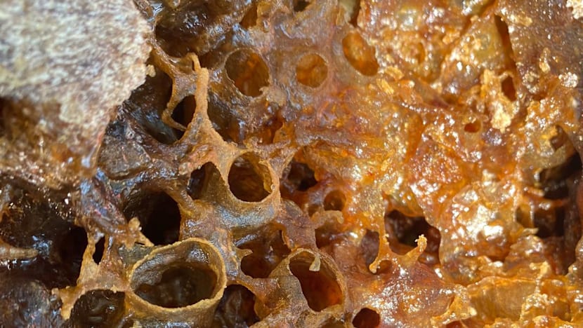 Related article image
