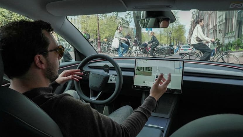 Dutch transportation minister defends Tesla FSD approval