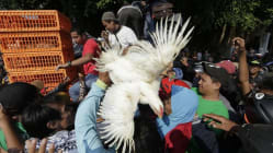 Related article image