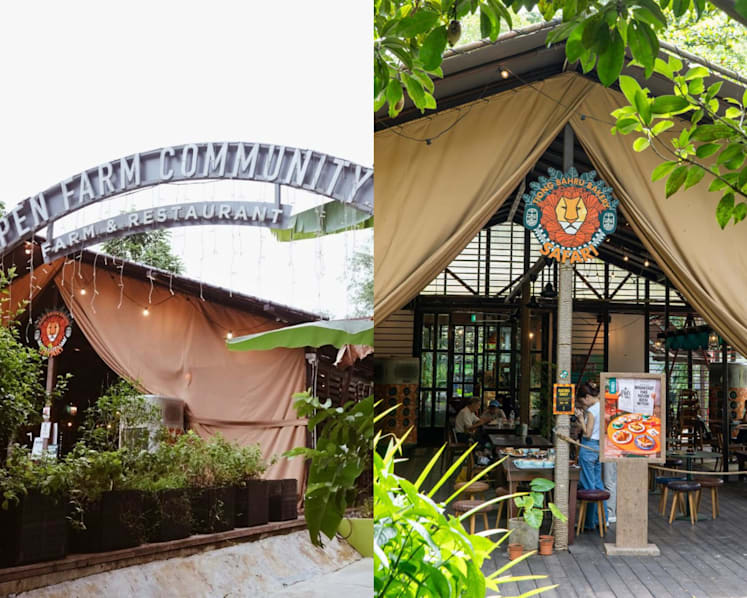 Open Farm Community and Tiong Bahru Bakery Safari set to close on Jan 11