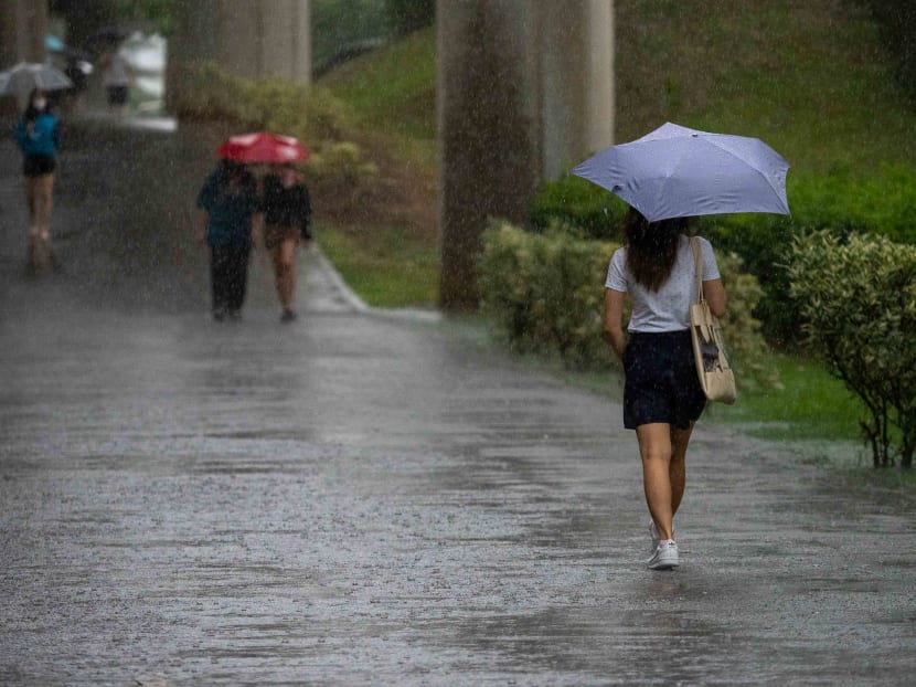 The warm weather experienced in the last fortnight of April is likely to continue in the first half of May, said the Meteorological Service Singapore on Friday (April 29). 
