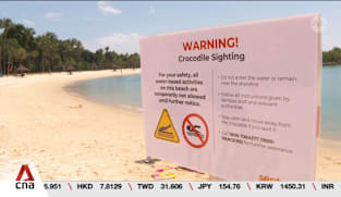 Water activities at Sentosa's beaches suspended after crocodile sighting
